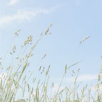 VUCA岩蘭野趣