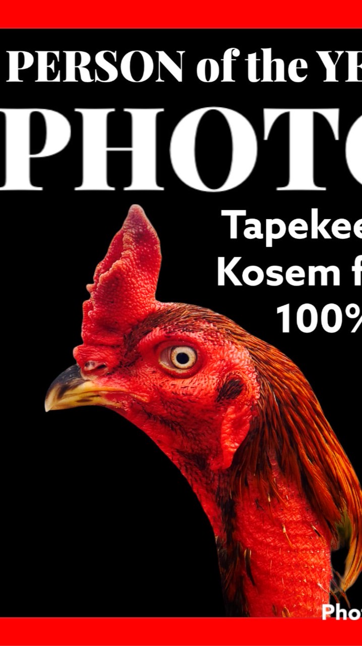 สุวรรณฟาร์ม ไก่ชนพม่าโกวเซ้มฟาร์มพัฒนา
