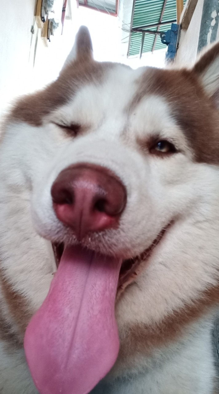 สุขและพลศึกษา ม.2/2 68