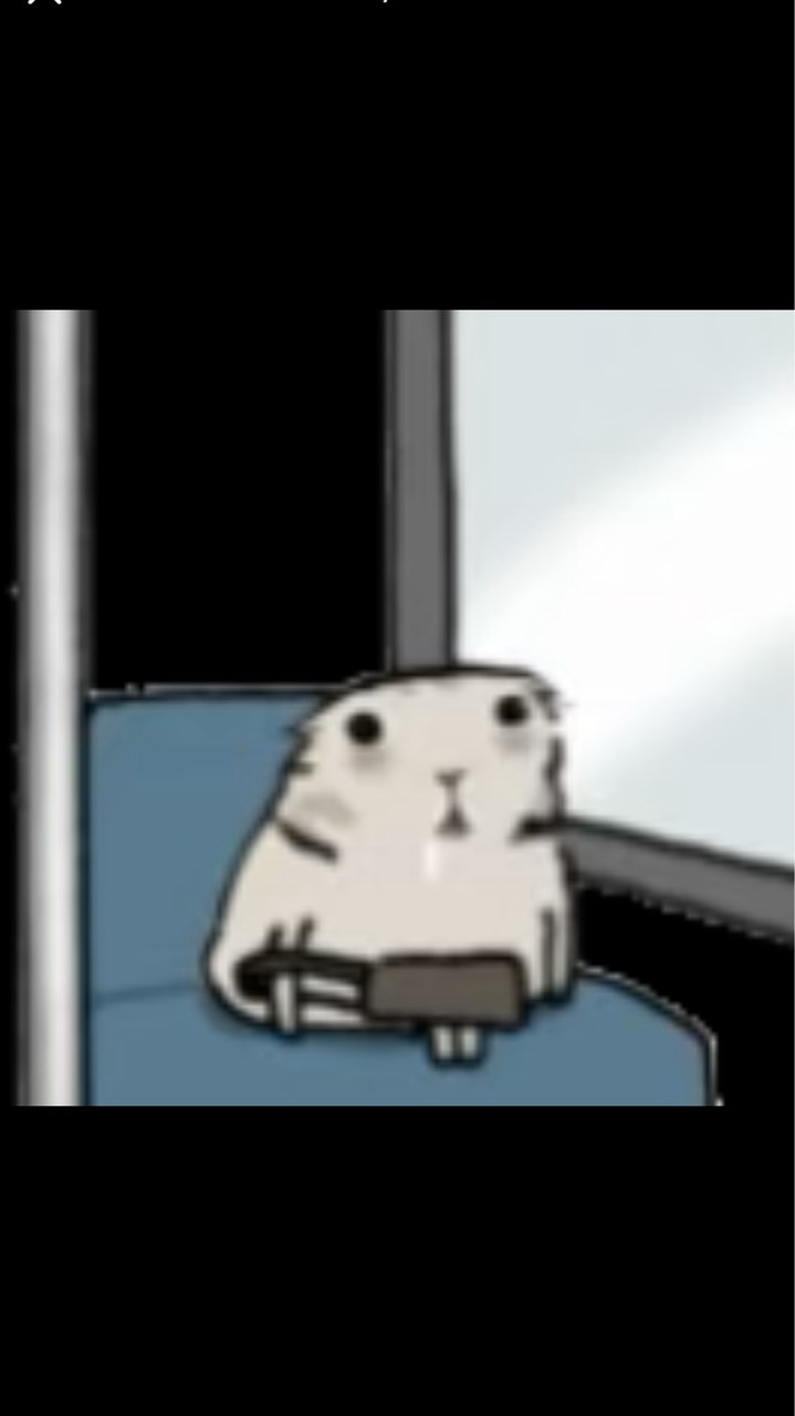 韓安代購