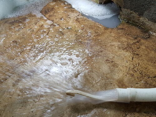 洗濯機の排水口が臭くなる理由と 臭いを消す方法