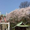 台中旅遊唱歌看貓咪