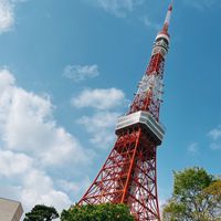 Showing代購連線