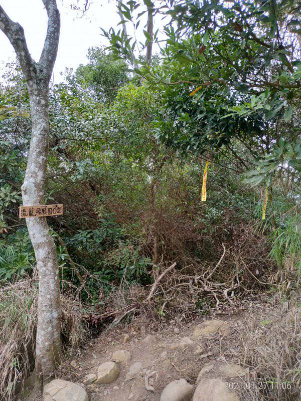 新竹芎林 飛鳳山 中坑山 大板根 石壁潭山 健行筆記 Line Today