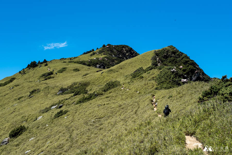 山女孩MelissaxMao冒險生活_奇萊主北_奇萊北峰主峰三天兩夜登山紀錄-125.jpg