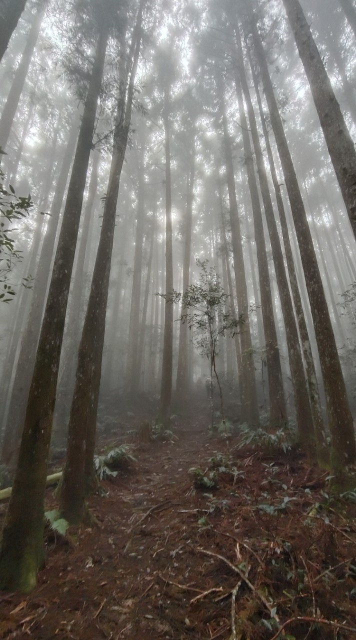 小百（白）山林悠遊趣