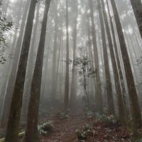 小百（白）山林悠遊趣
