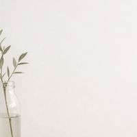 安朗選品社｜為生活把關