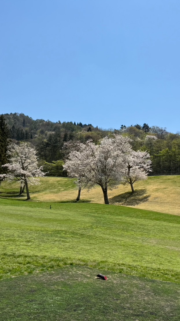 GOGOGOLF since2017 チャット