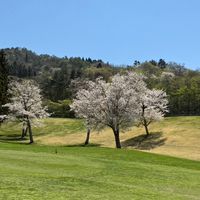 GOGOGOLF since2017 チャット
