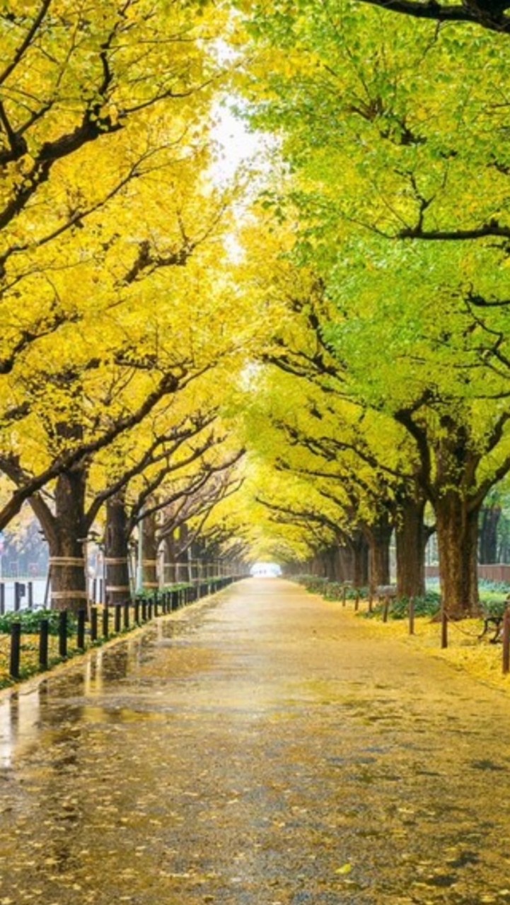 🍀天涯孤独でも前向きな方の為のコミュニティ🍀