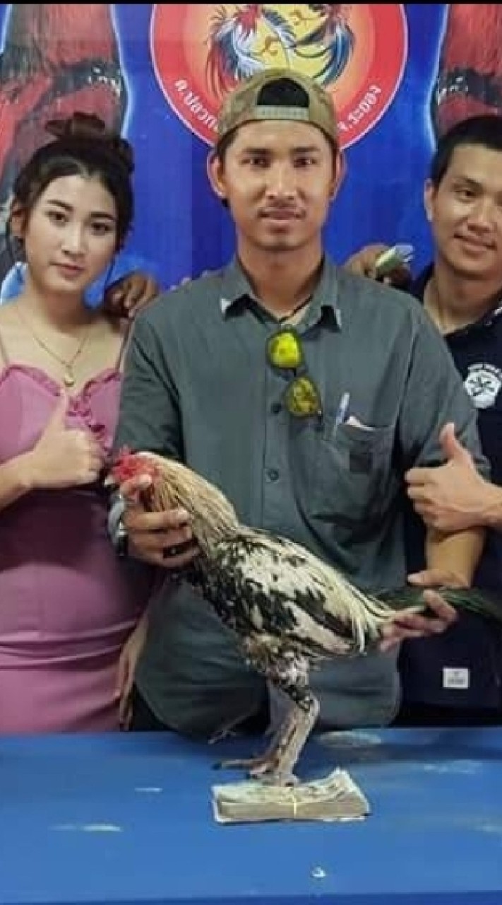 ป.เปรมชัย