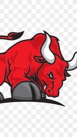 Trader connect @ Forex