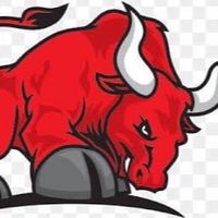 Trader connect @ Forex
