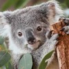 🇦🇺BTSメルボルン🏟️2/10.12.13