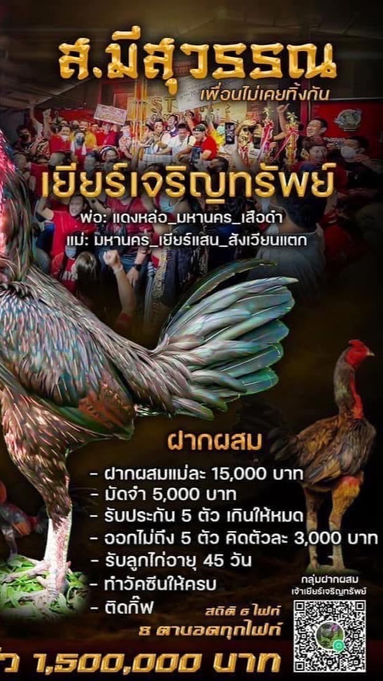 ฝากผสม เยียร์ กุมภา