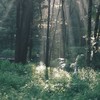 《　fleeting Sprite  》　歌い手グループ　,