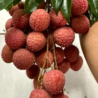 福鑫水果農場行