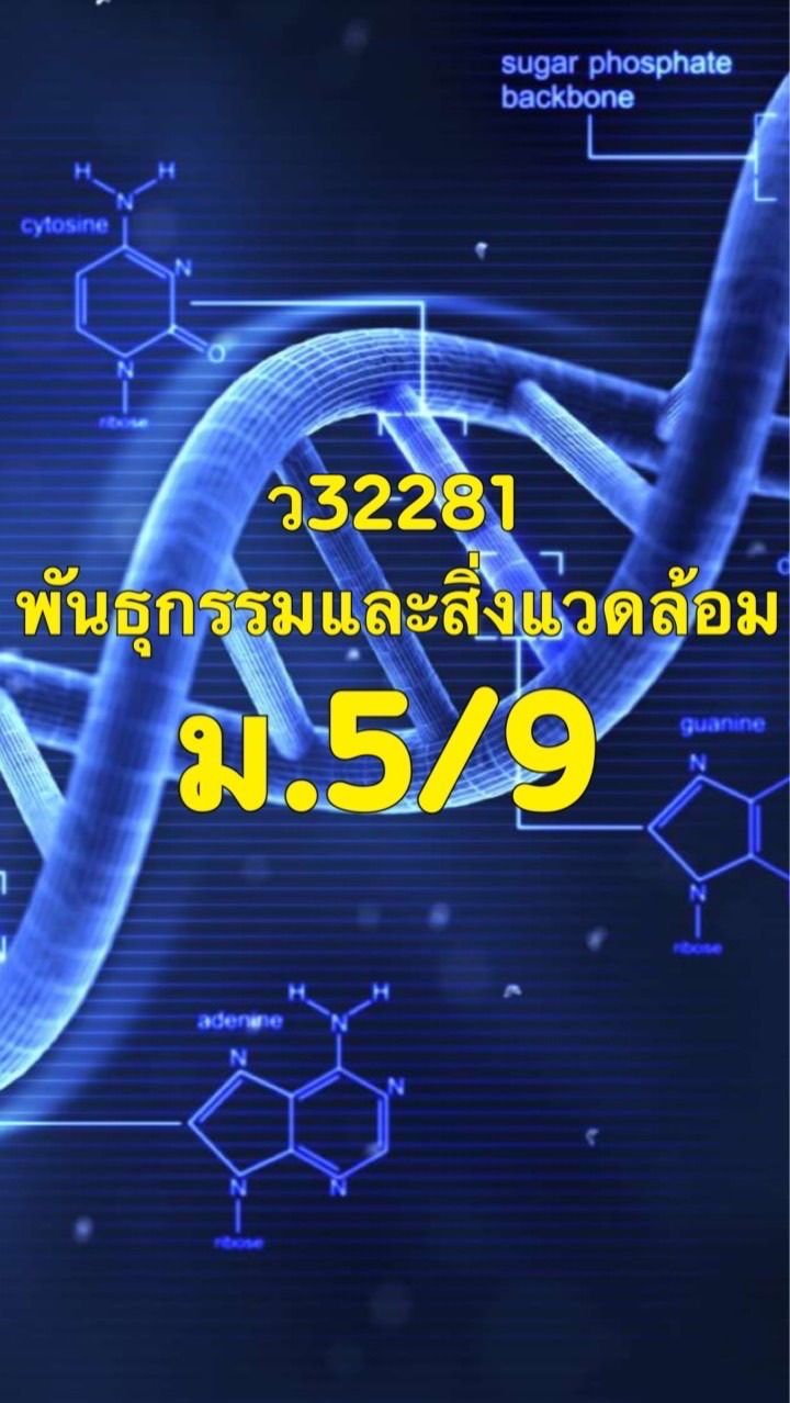 5/9 ว32281.69
