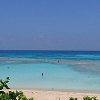 片付け、整理整頓、生活の知恵。管理人はミニマリスト系、独身、アラフォーです。まったりトークしましょう