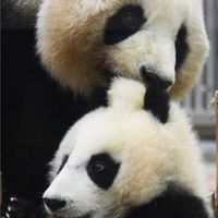 🐼楓浜の会🍁