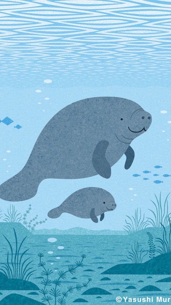 อาสาปลูกหญ้าทะเลครั้งที่ 4