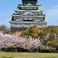 大阪の40代50代⭐ゆっくり、まったりお話ししましょ🎵あつまれ❤️✨わちゃわちゃの部屋✨