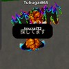東西のオプチャ