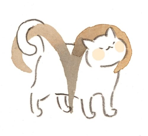 ニャンコ先生の開運星占い 8 10 8 16 牡羊座 牡牛座 双子座 蟹座編