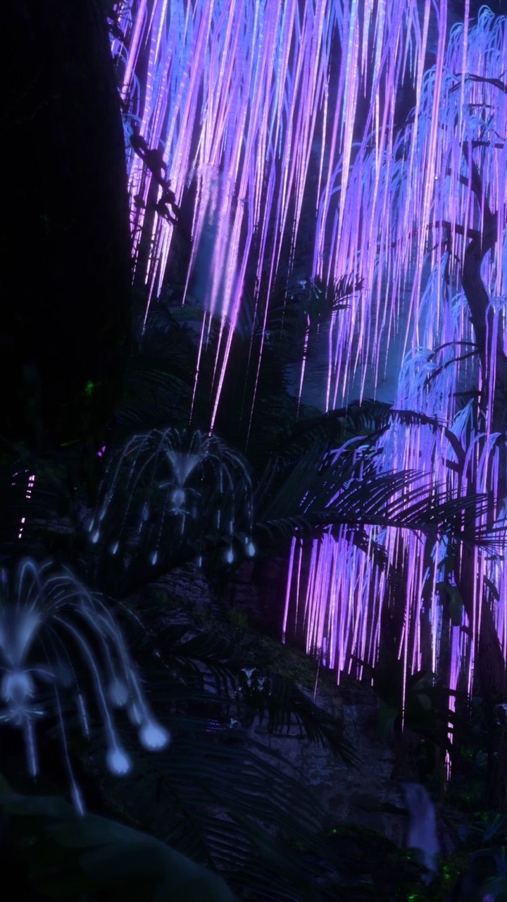 ⊹ 𝐀𝐕𝐀𝐓𝐀𝐑 : อวตาร