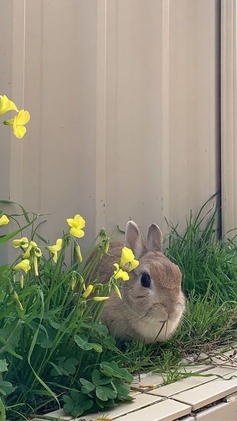 ⭐️ตัวแทน 𝚖𝚞𝚗𝚒𝚖𝚞𝚜𝚝𝚘𝚛𝚎⭐️のオープンチャット