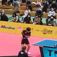 中学で卓球やってる人来てー