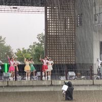 競馬を楽しもう！馬券と雑談とヨーグルト
