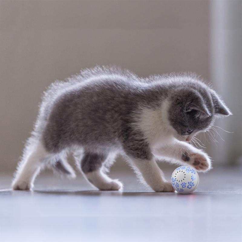 不會傷到貓咪眼睛 電池均通過62133、UN38.3、MSDS等認證 產品介紹 搖一搖，即刻喚醒愛寵活力 ! 採用高精度動作傳感器，搖一搖快速喚醒或停止寵物球，逗寵方式更智能。 走走停停，自動改變滾動