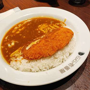 Coco壱番屋 港区南陽店 ココイチバンヤ ミナトクナンヨウテン 知多 戸田駅 カレー By Line Conomi