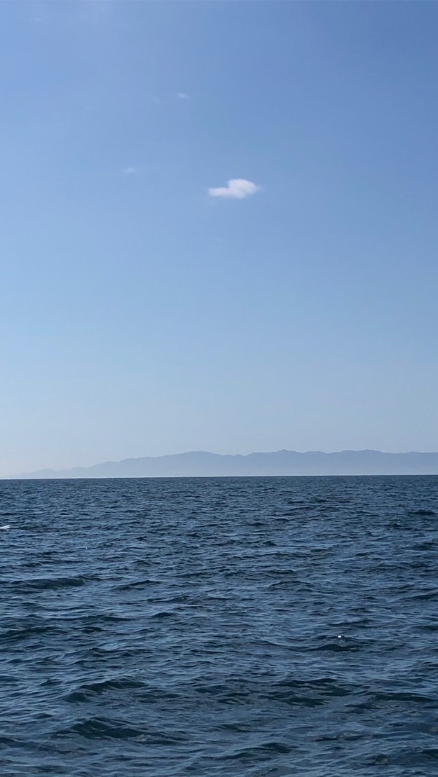 Wakayama Summer Regatta