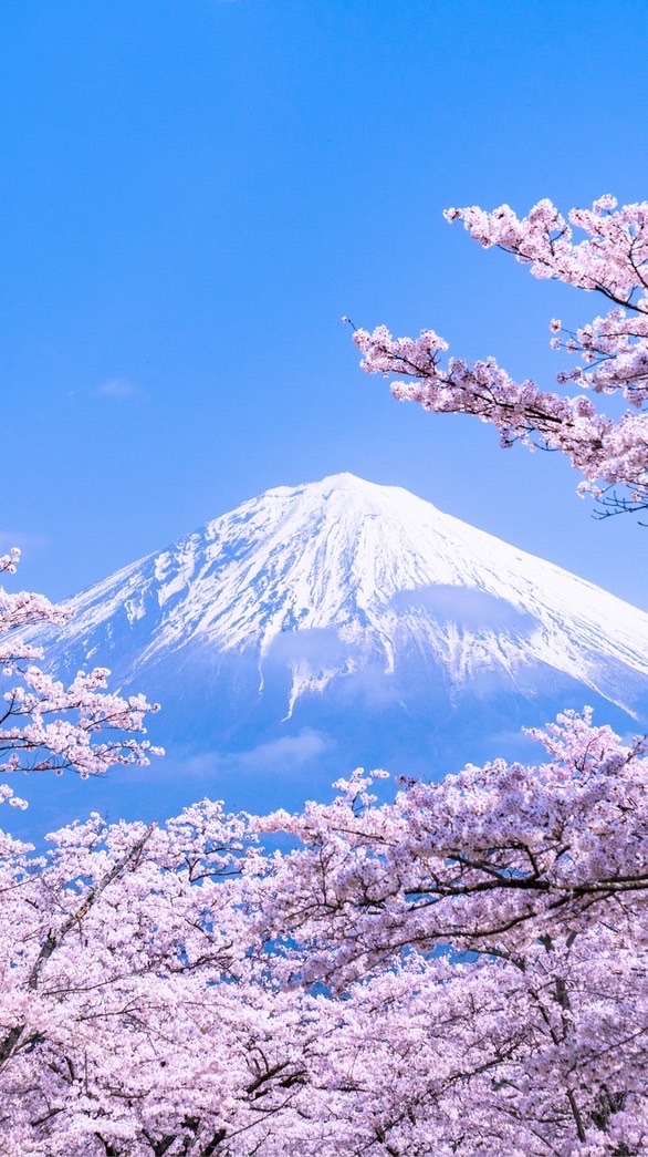 天使織坊-日本代購社群