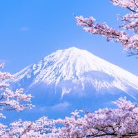 天使織坊-日本代購/外國代購-生活小物團購社群