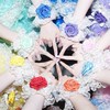 きゅーすと好き集まろ！