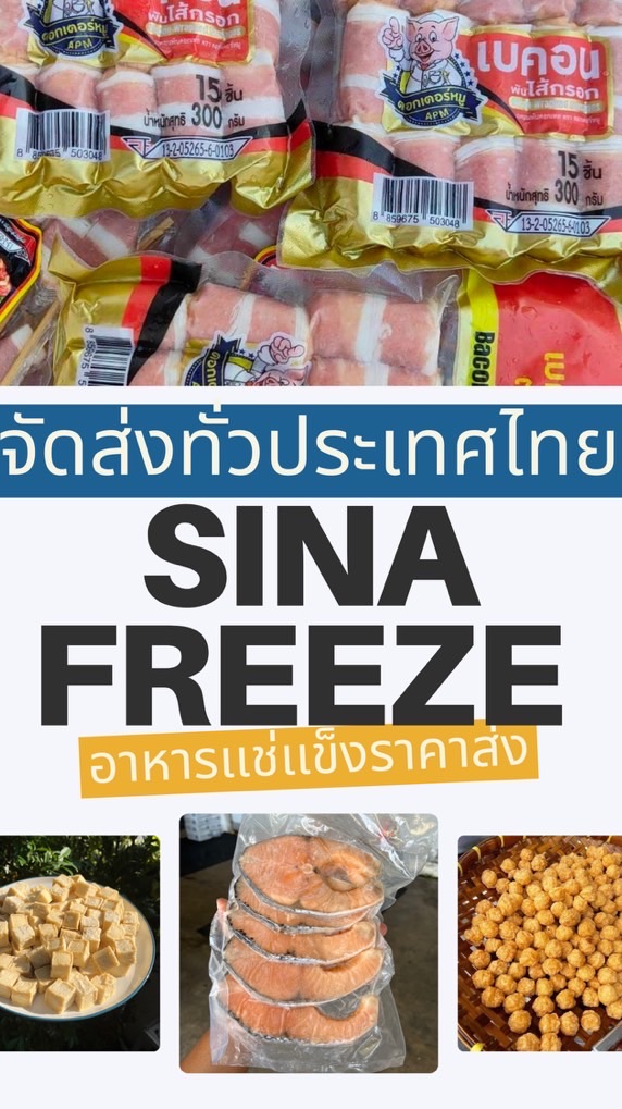 SINA FREEZE
