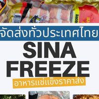 SINA FREEZE