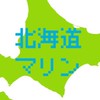 22卒 東京海上日動火災 北海道 （エリア・ワイド）