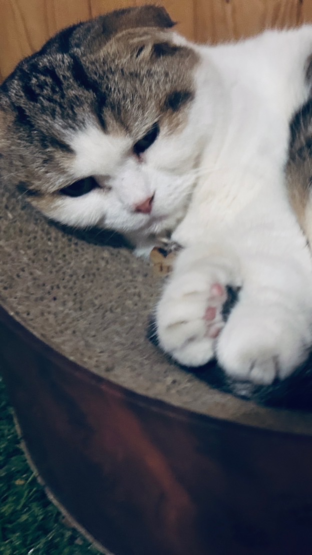 我們這一家