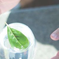 質問で人は本当に育つのか？
