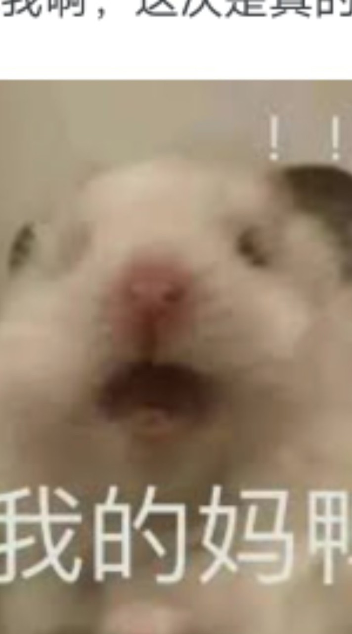 動物家族🐱🐶🦆🐏🐼