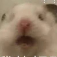 動物家族🐱🐶🦆🐏🐼