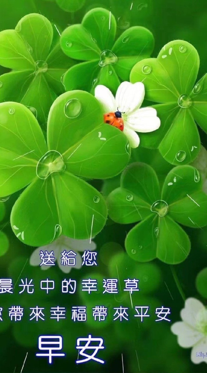 薰衣草期貨教學