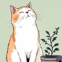 なんかいろいろしていこう