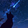 貓戰士-瘋語王朝冰霜夜族