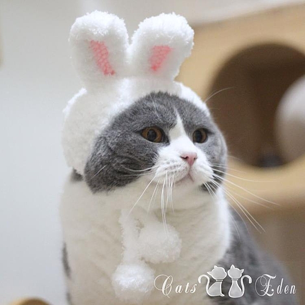 復活節裝扮兔子耳朵帽寵物英短貓咪頭套變裝帽子中秋玉兔造型
